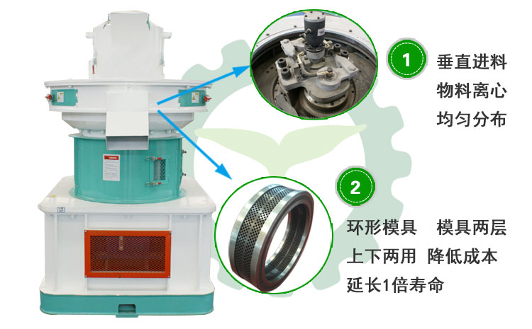 生物质P站PROBURN破解版图片