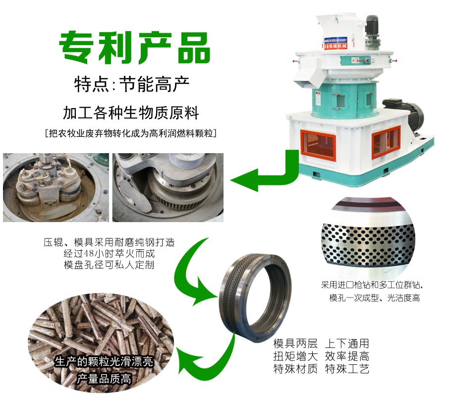 生物质P站PROBURN破解版图片