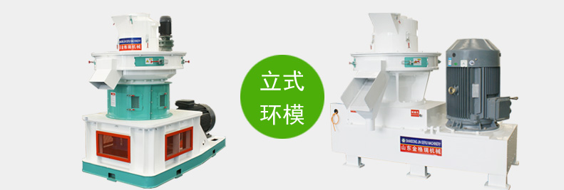 立式环模P站PROBURN破解版组