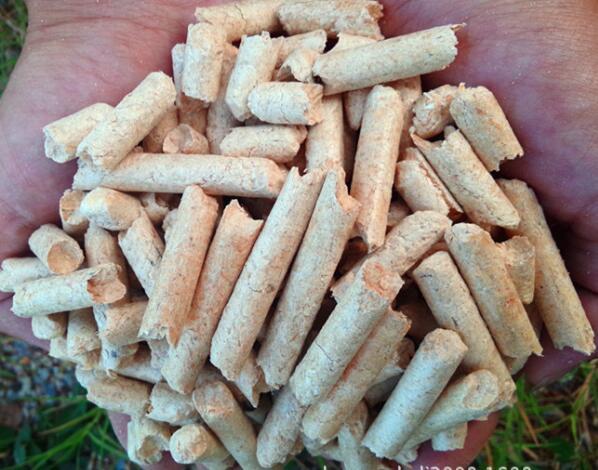 生物质燃料P站PROBURN破解版械