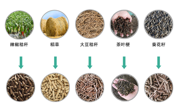 生物质P站PROBURN破解版械加工的颗粒