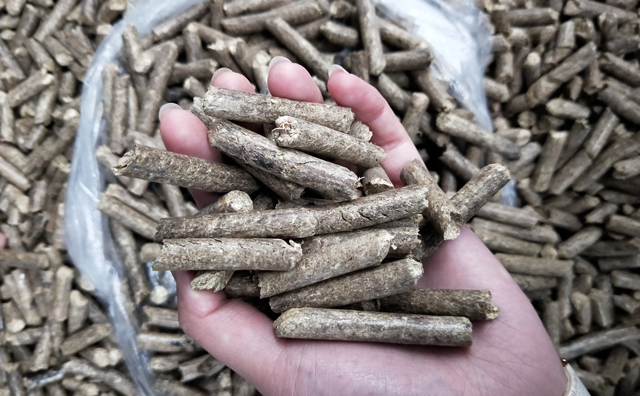 生物质P站PROBURN破解版械