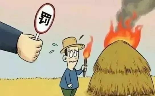 生物质P站PROBURN破解版械