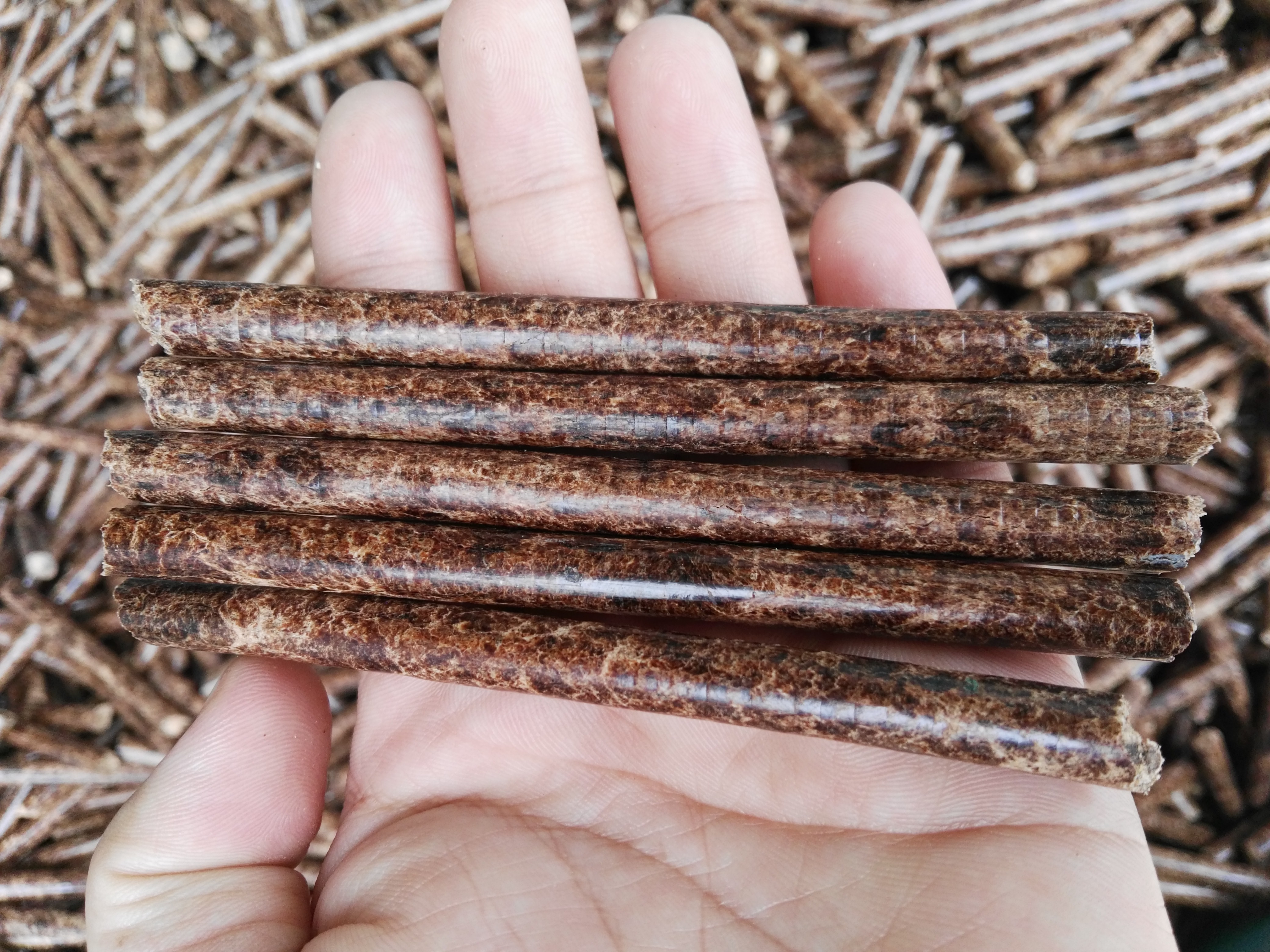 生物质P站PROBURN破解版械