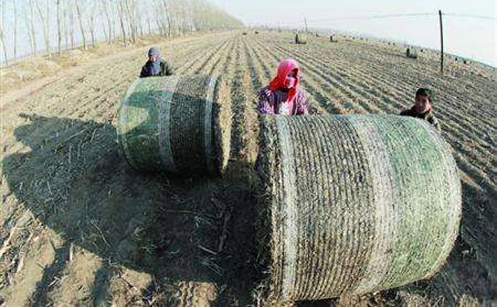 生物质P站PROBURN破解版械