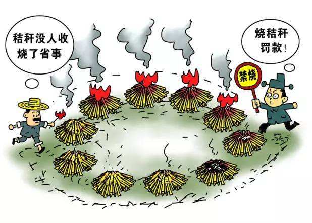 生物质P站PROBURN破解版械