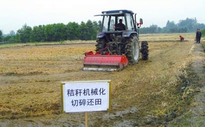 秸秆还田让“地越种越肥、产值越来越高”