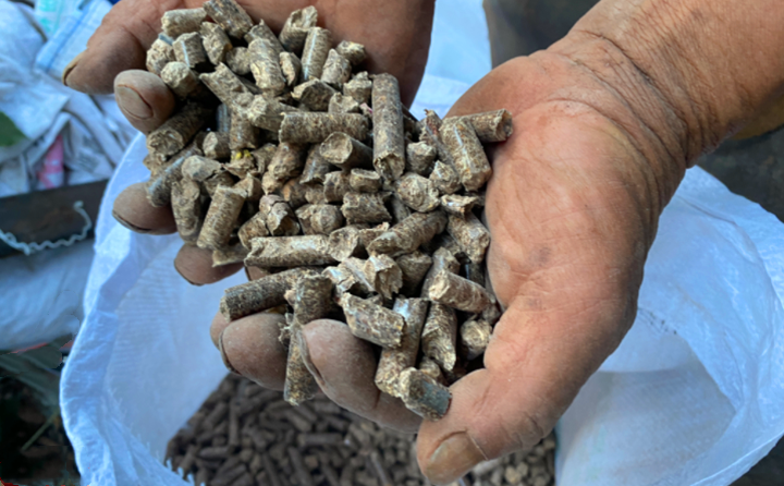 生物质燃料P站PROBURN破解版加工的生物质颗粒