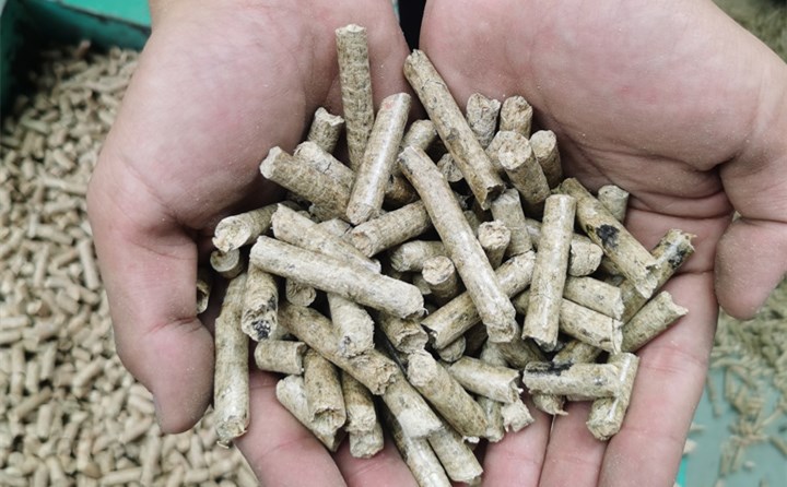 生物质P站PROBURN破解版的颗粒燃料