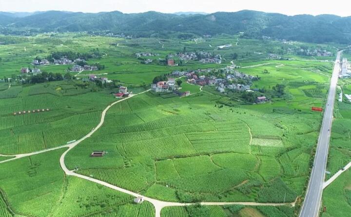 福泉：生物质颗粒智能化烘烤 助力烤烟产业提质增效