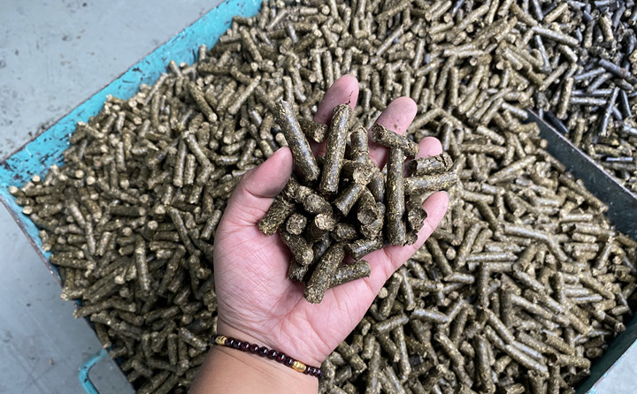 生物质P站PROBURN破解版加工的燃料