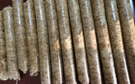 生物质能源P站PROBURN破解版设备是什么？