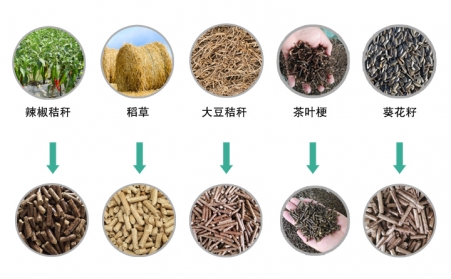 生物质P站PROBURN破解版械推动生物质能源发展