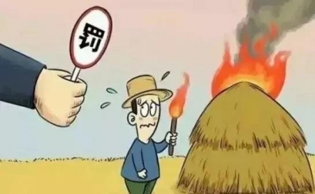 秸秆禁烧怎么办？秸秆P站PROBURN破解版帮您变废为宝！