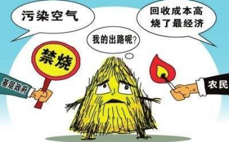 黑龙江秸秆P站PROBURN破解版把秸秆从包袱变回宝贝！