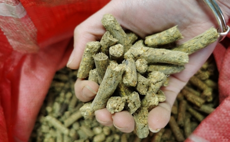 什么是生物质燃料P站PROBURN破解版颗粒？农村为什么都在用生物质颗粒？