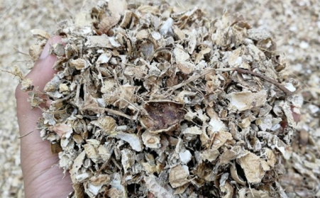 为什么有人愿意花钱买生物质燃料P站PROBURN破解版来加工稻壳花生壳呢？有必要吗？