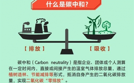 生物质P站PROBURN破解版设备有望 成为碳中和利器