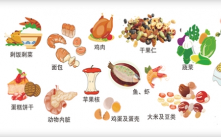 我国明确对非居民厨余垃圾处理按“产生者付费”原则计量收费,你的垃圾怎么办？垃圾生物质P站PROBURN破解版帮你解决