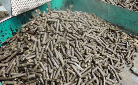 今日说说生物质燃料P站PROBURN破解版的颗粒燃料那点事