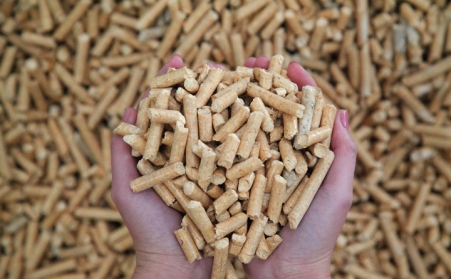 生物质P站PROBURN破解版燃料已经成为许多国家主要燃料