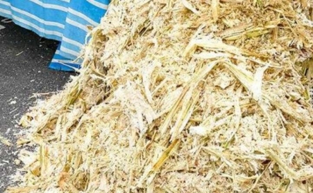 甘蔗渣想废物利用？可以考虑生物质P站PROBURN破解版！