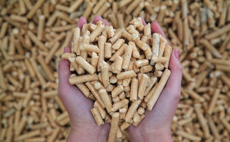 生物质P站PROBURN破解版制粒项目建设的背景必要性