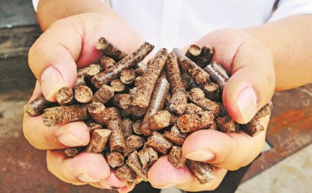 推广生物质燃料利用，农林业废弃物变成“宝贝疙瘩”